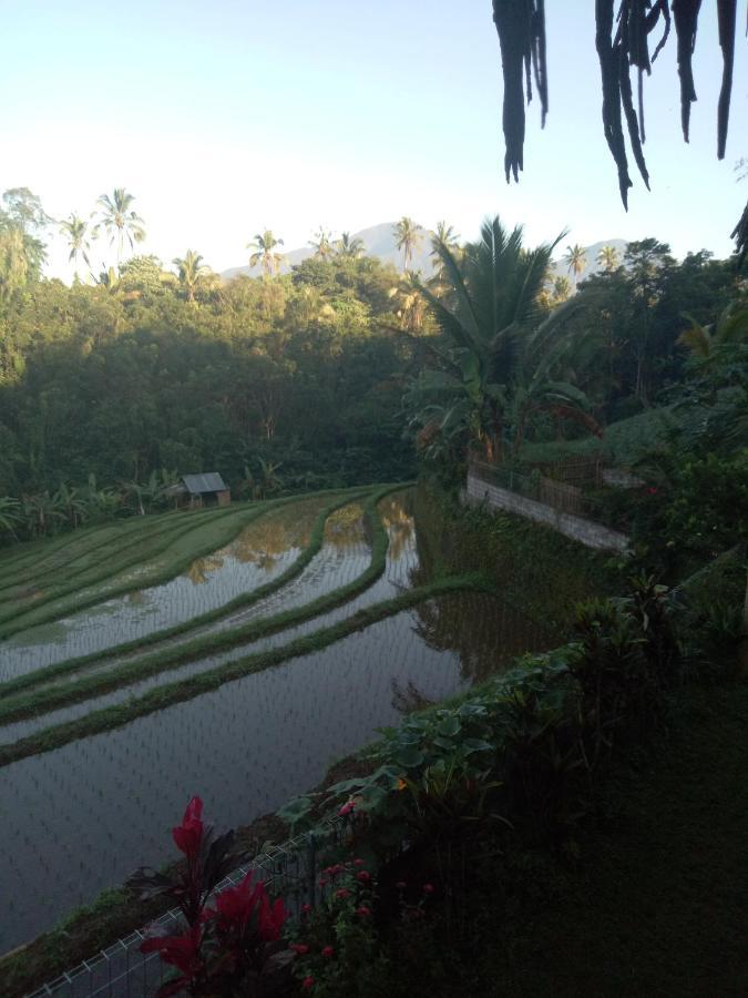 Babahan Farmstay Selemadeg Extérieur photo
