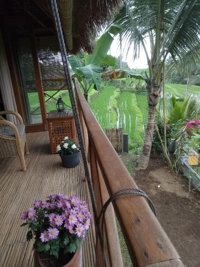 Babahan Farmstay Selemadeg Extérieur photo