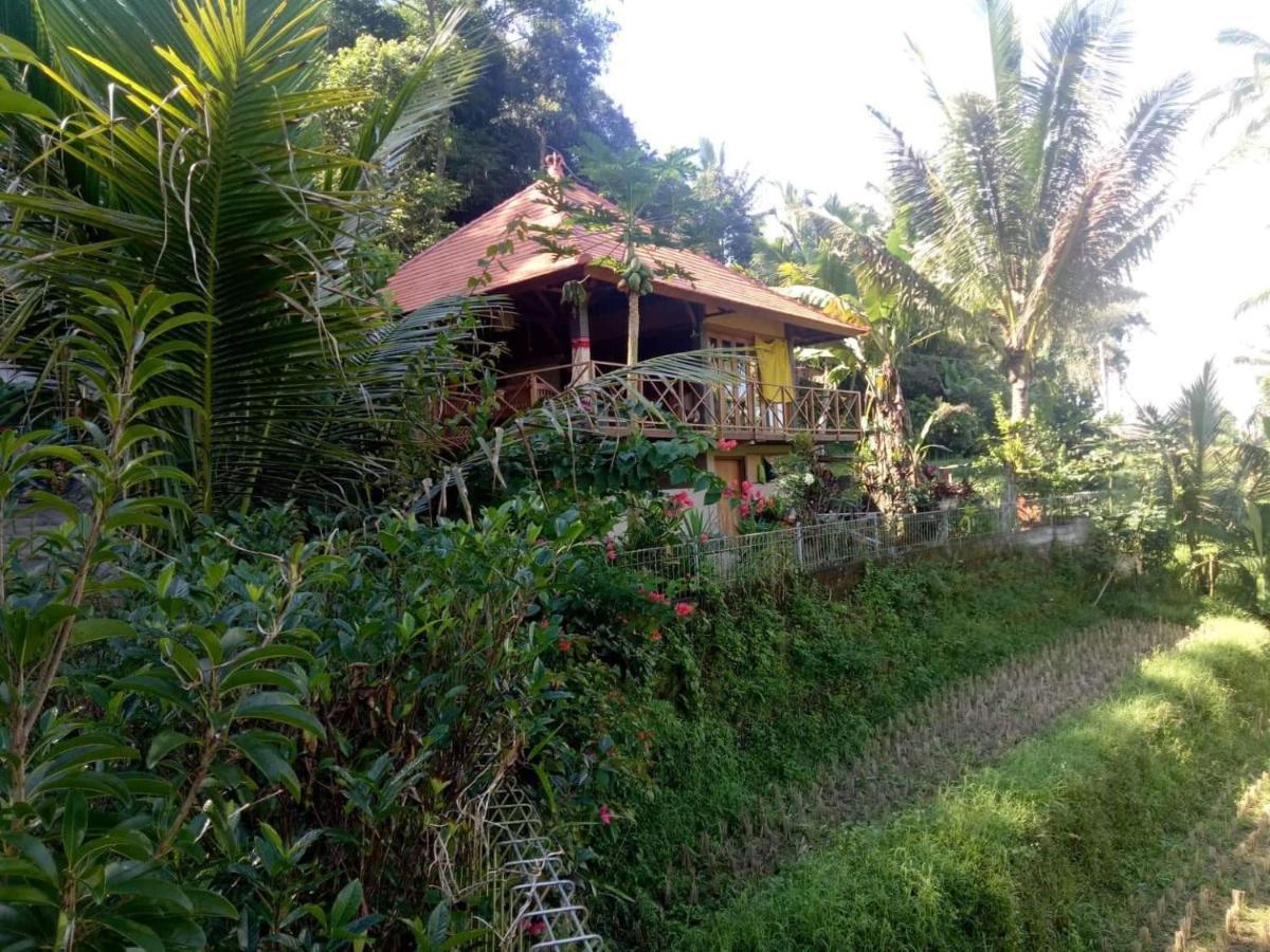 Babahan Farmstay Selemadeg Extérieur photo