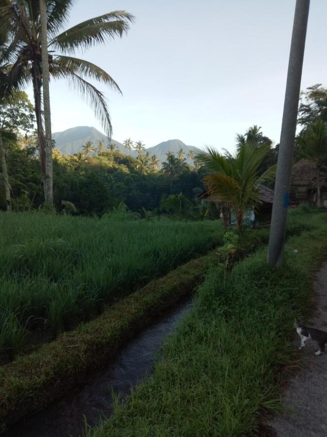 Babahan Farmstay Selemadeg Extérieur photo