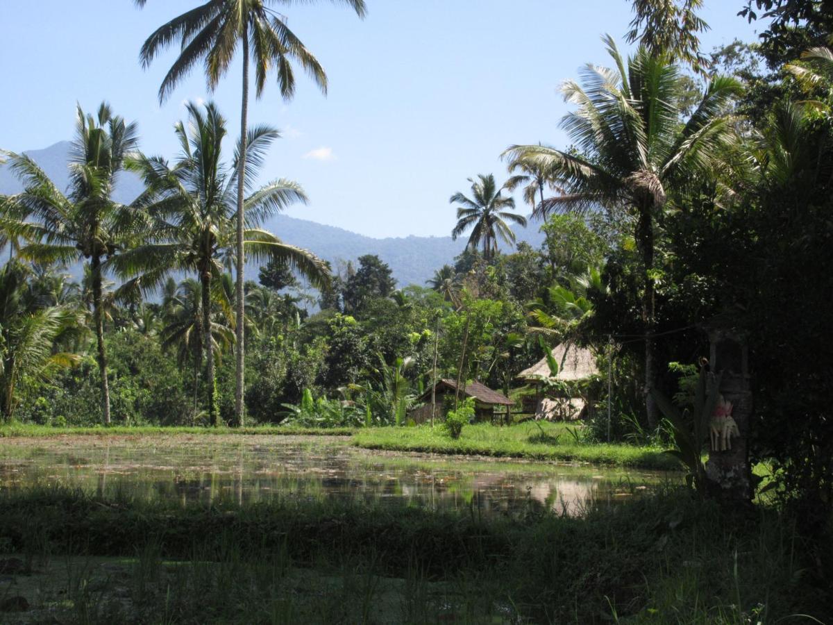 Babahan Farmstay Selemadeg Extérieur photo